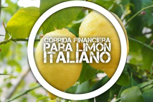Corrida Financiera para Limn Italiano